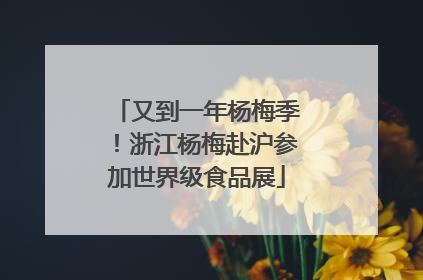 又到一年杨梅季！浙江杨梅赴沪参加世界级食品展